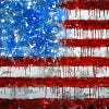 Free American