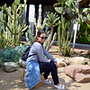 Sareen