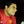 Go to the profile of Vitor Master Feitosa