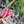 Go to the profile of Thanh Hằng