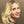 Go to the profile of Cristina Dittamo
