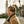 Go to the profile of Tanya Koroleva