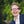 Go to the profile of Paul Ricken