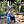 Go to the profile of Sareen