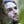 Go to the profile of Saul of Hearts