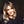Go to the profile of laura.louise