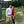 Go to the profile of Emily Wilcox