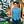 Go to the profile of Jesse Zhou