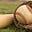 Best Baseball Camp in USA