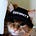 Go to the profile of SecurityKitty