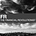 Go to the profile of The Financial Revolutionist