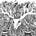 Go to the profile of Peer Brockhoefer