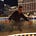 Go to the profile of Jimmy Lam