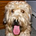 Go to the profile of Steve Stein