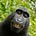 Go to the profile of Andreas Capek
