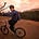 Go to the profile of Joe Murray