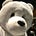 Go to the profile of Norman Zhu