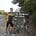 Go to the profile of David A J Silcox