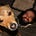 Go to the profile of Lawrence Whiteside