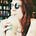 Go to the profile of Suzana Carvalho