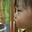 Go to the profile of DaanSoop