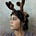 Go to the profile of Elle Carvalho