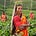 Go to the profile of BangladeshiHistory