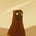 Go to the profile of Clayton Conover