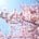 Go to the profile of Yuqian Zhang