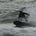 Go to the profile of the Soulful Surfer