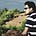 Go to the profile of Aayush Jain