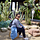Sareen