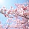 Go to the profile of Yuqian Zhang